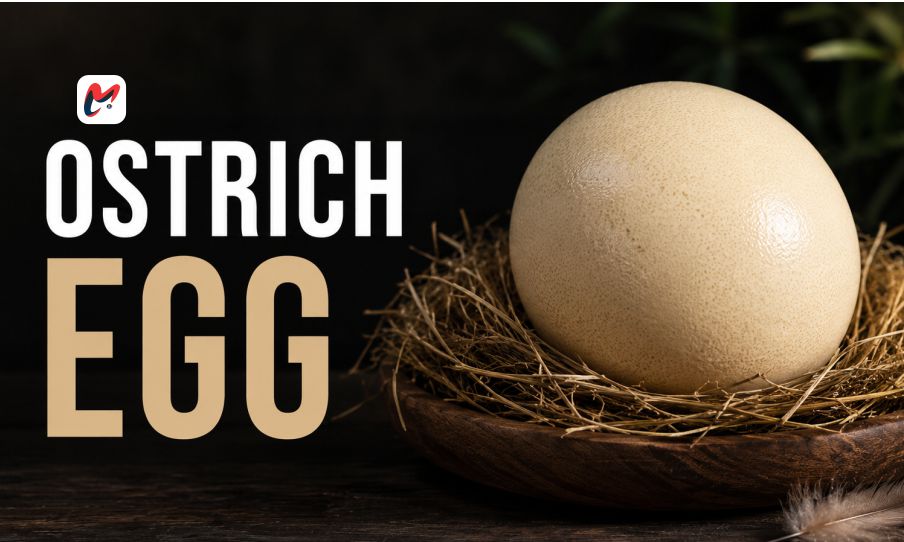 The Ultimate Guide to the Nutritional Power of a Whole Ostrich Egg